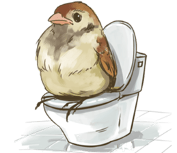 Chik Chirik the sparrow sticker #570209
