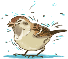 Chik Chirik the sparrow sticker #570210