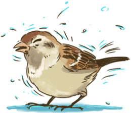 Chik Chirik the sparrow sticker #570210