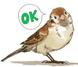Chik Chirik the sparrow sticker #570211