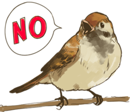 Chik Chirik the sparrow sticker #570212