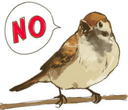 Chik Chirik the sparrow sticker #570212