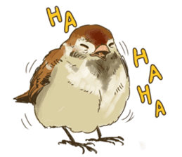 Chik Chirik the sparrow sticker #570215