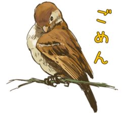Chik Chirik the sparrow sticker #570218