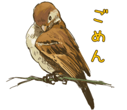 Chik Chirik the sparrow sticker #570218