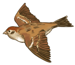 Chik Chirik the sparrow sticker #570222