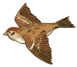 Chik Chirik the sparrow sticker #570222