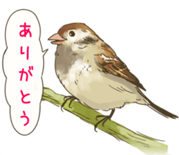 Chik Chirik the sparrow sticker #570224