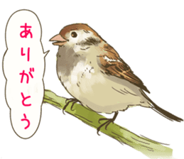 Chik Chirik the sparrow sticker #570224