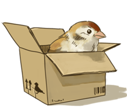 Chik Chirik the sparrow sticker #570225