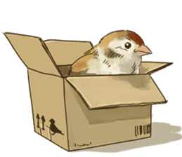 Chik Chirik the sparrow sticker #570225