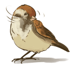 Chik Chirik the sparrow sticker #570229