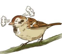 Chik Chirik the sparrow sticker #570231