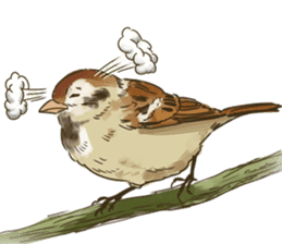 Chik Chirik the sparrow sticker #570231