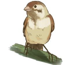 Chik Chirik the sparrow sticker #570233