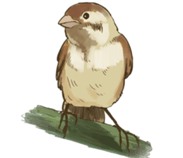 Chik Chirik the sparrow sticker #570233