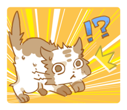 FUN FUN CAT! sticker #575468