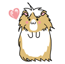Tiny Cavy sticker #576038