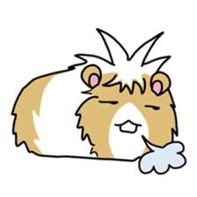 Tiny Cavy sticker #576044