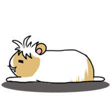 Tiny Cavy sticker #576045