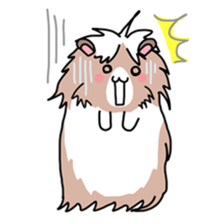Tiny Cavy sticker #576054