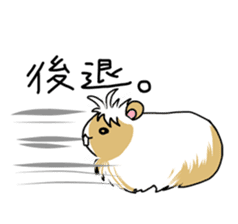 Tiny Cavy sticker #576067