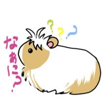 Tiny Cavy sticker #576069