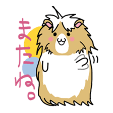 Tiny Cavy sticker #576073