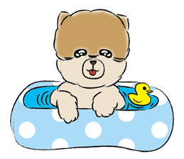 POMETA sticker #576154