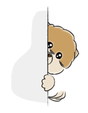 POMETA sticker #576157