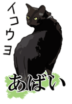 Kesen Dialect cat sticker #577039