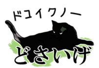 Kesen Dialect cat sticker #577041