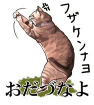 Kesen Dialect cat sticker #577042