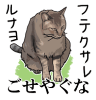 Kesen Dialect cat sticker #577044