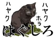 Kesen Dialect cat sticker #577045