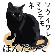 Kesen Dialect cat sticker #577047