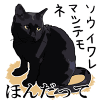 Kesen Dialect cat sticker #577047
