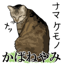 Kesen Dialect cat sticker #577052