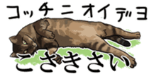 Kesen Dialect cat sticker #577054