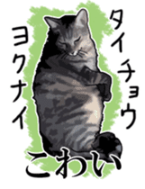 Kesen Dialect cat sticker #577055
