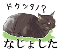 Kesen Dialect cat sticker #577056