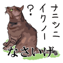 Kesen Dialect cat sticker #577058