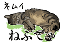 Kesen Dialect cat sticker #577059