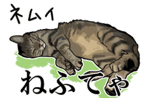 Kesen Dialect cat sticker #577059