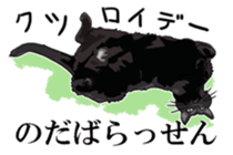 Kesen Dialect cat sticker #577060