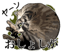 Kesen Dialect cat sticker #577063