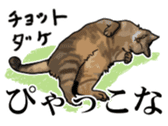 Kesen Dialect cat sticker #577064