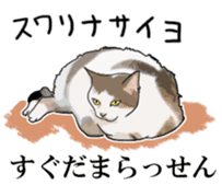 Kesen Dialect cat sticker #577067