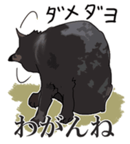 Kesen Dialect cat sticker #577070