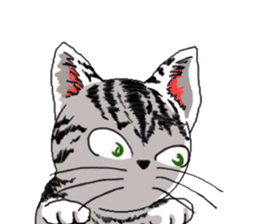 American Shorthair Cats sticker #577554